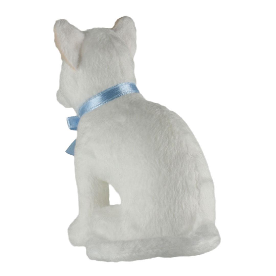 Van Kedisi, Evcil Hayvanlar