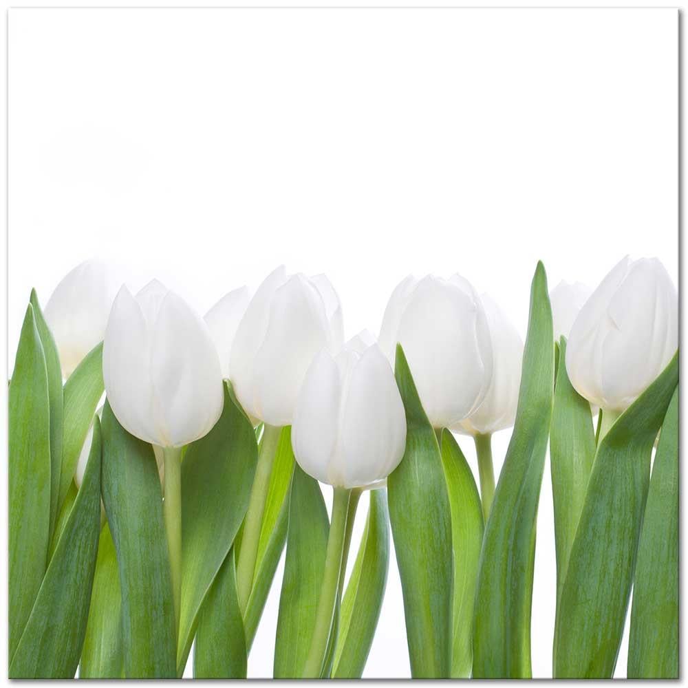 Beyaz Lale Demeti Kanvas Tablo