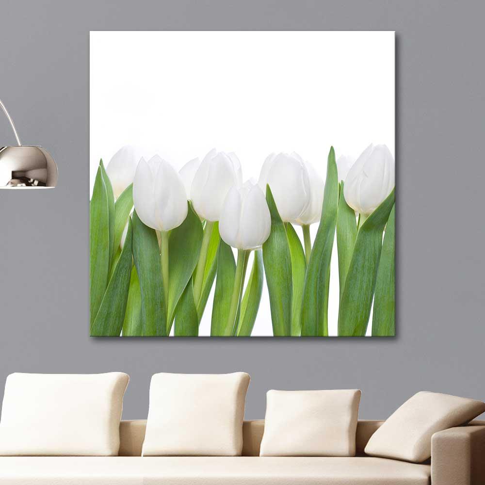 Beyaz Lale Demeti Kanvas Tablo