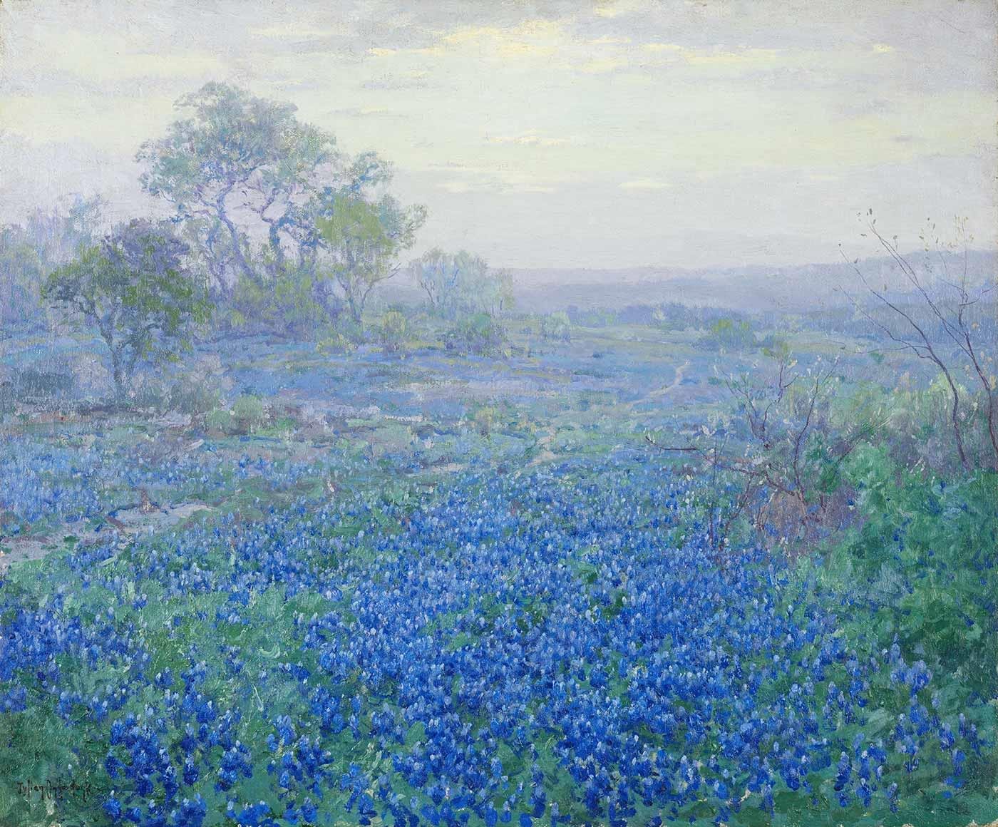 A Cloudy Day Bluebonnets near San Antonio by Julian Onderdonk