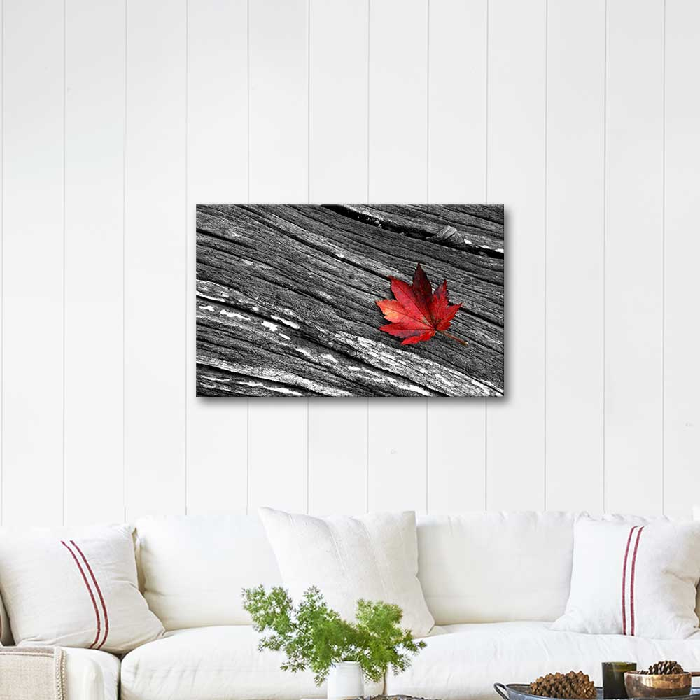 A Leaf in Autumn Art Print