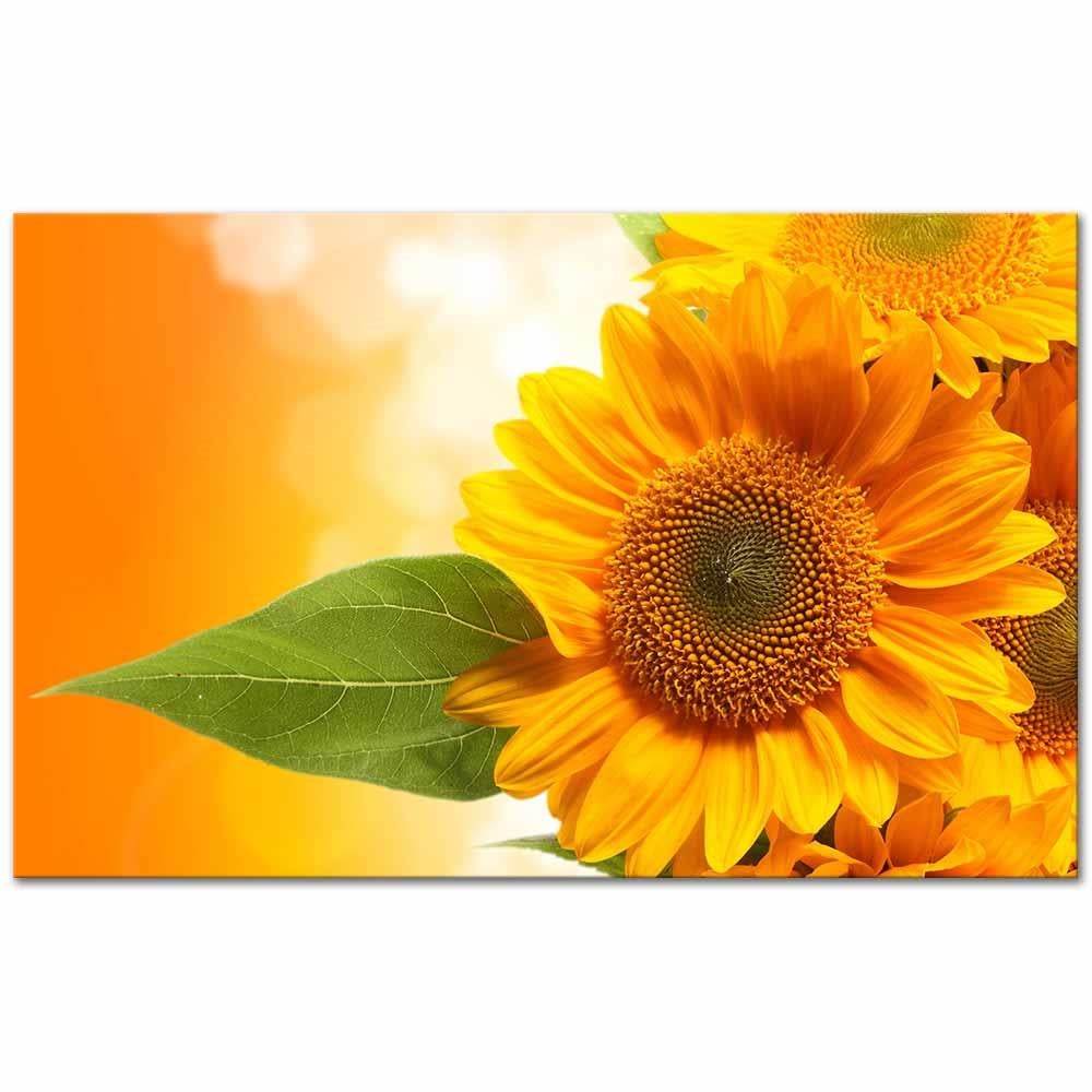 A Sunflower as Art Print
