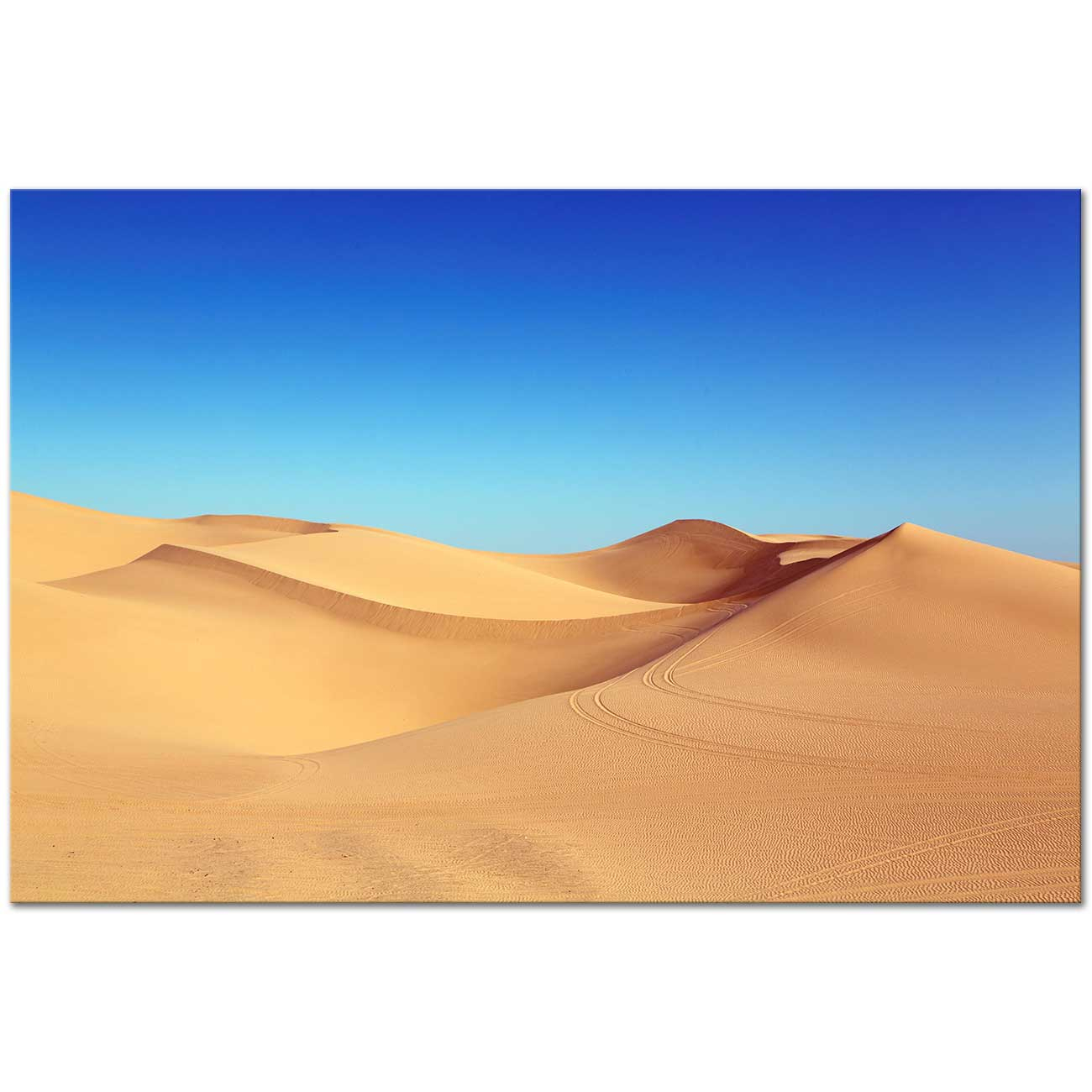 Adventure in Desert Art Print