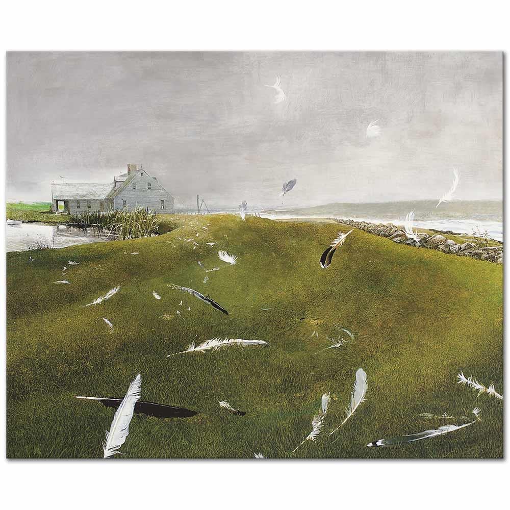 Andrew Wyeth Havadan İniş Kanvas Tablo