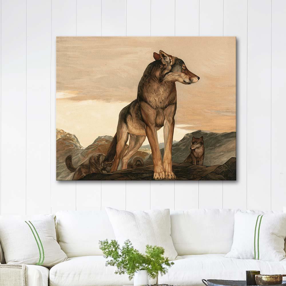 Akela The Lone Wolf by Charles Maurice Detmold as Art Print