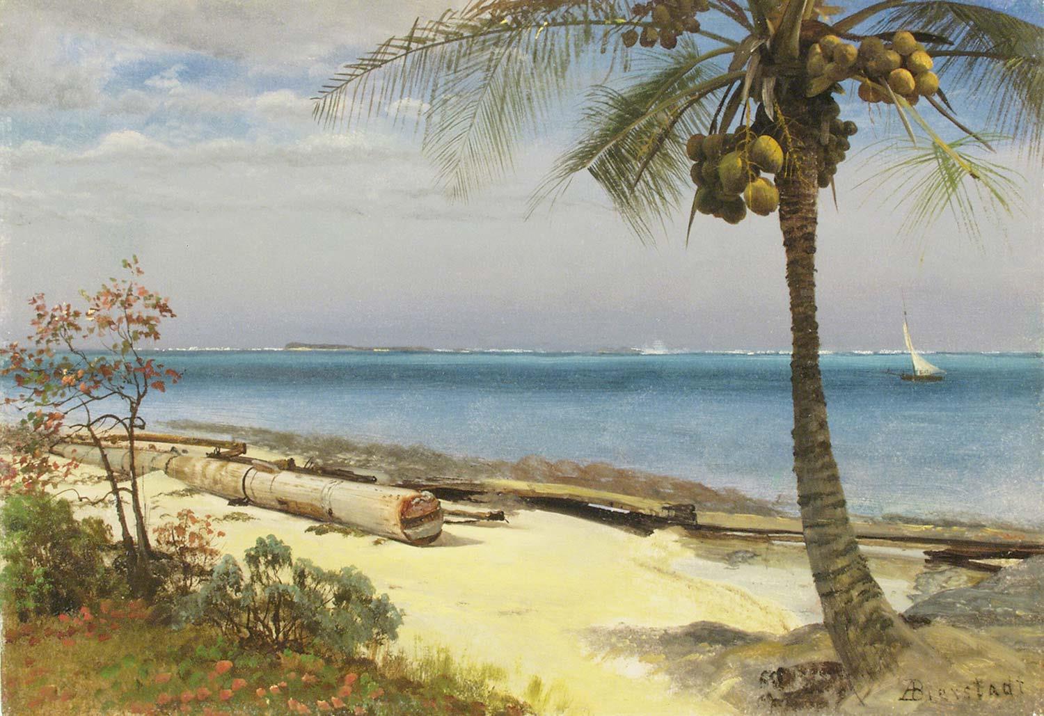 Albert Bierstadt Tropik Manzara Kanvas Tablo