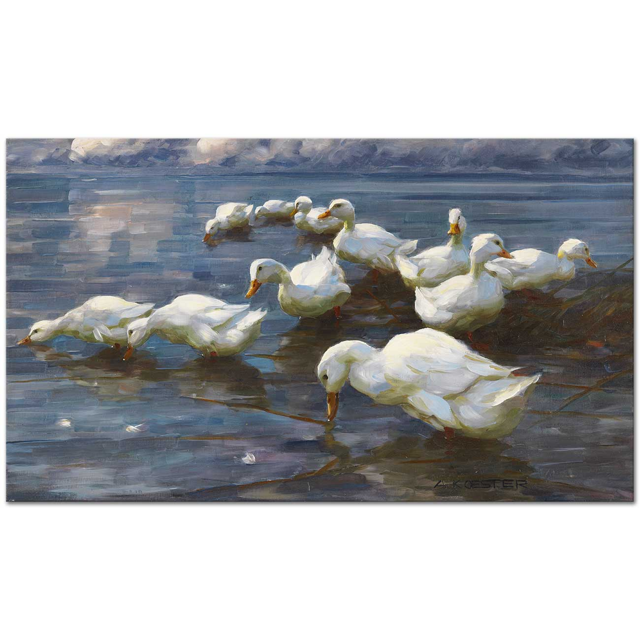 Alexander Koester sazlıkta ördekler