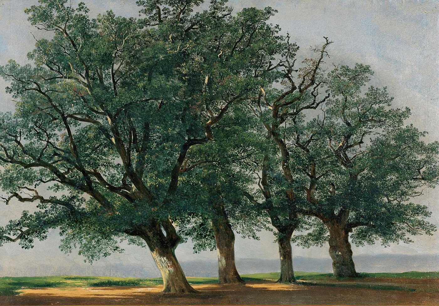 Alexandre Calame Quatre Grands Arbres Art Print