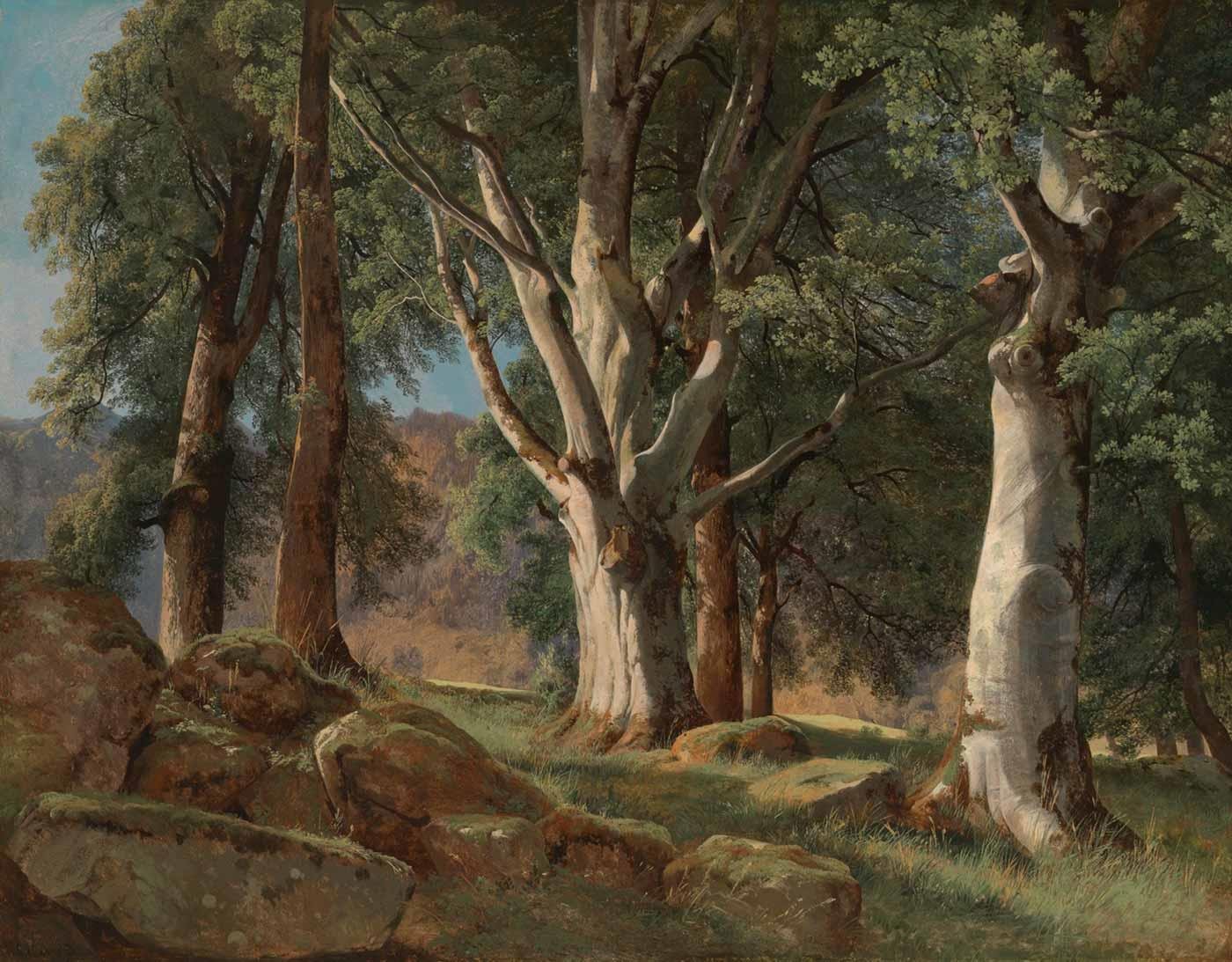 Alexandre Calame Akağaçlar Kanvas Tablo