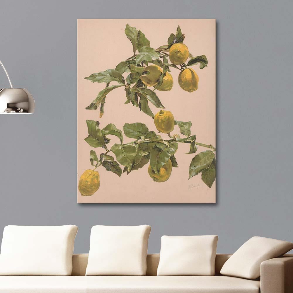 Alice Bailly Aquarelle d'un Citronnier Art Print