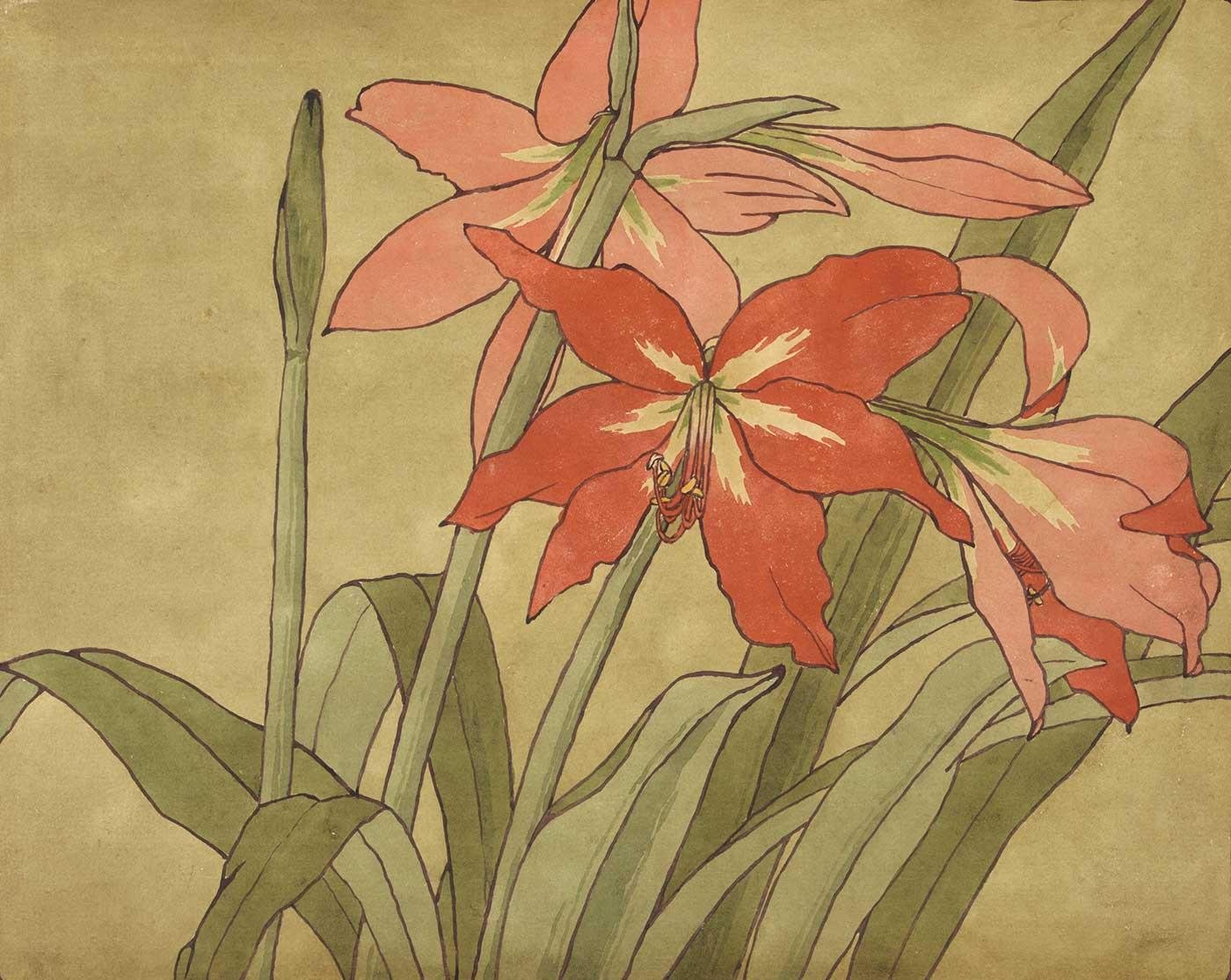 Hannah Borger Overbeck Amaryllis Kanvas Tablo