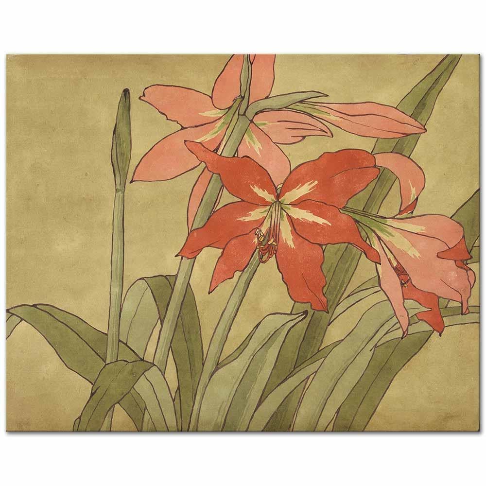 Hannah Borger Overbeck Amaryllis Kanvas Tablo