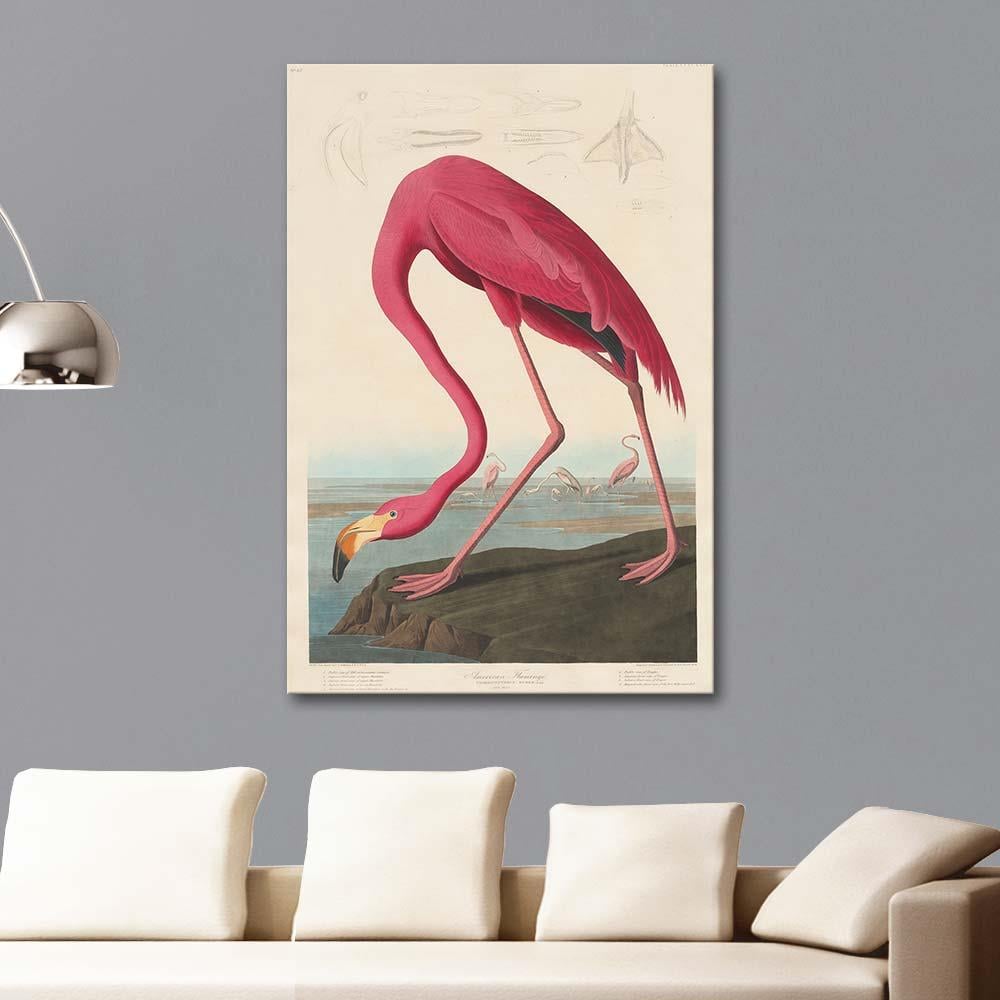 John James Audubon Amerikan Flamingosu Kanvas Tablo