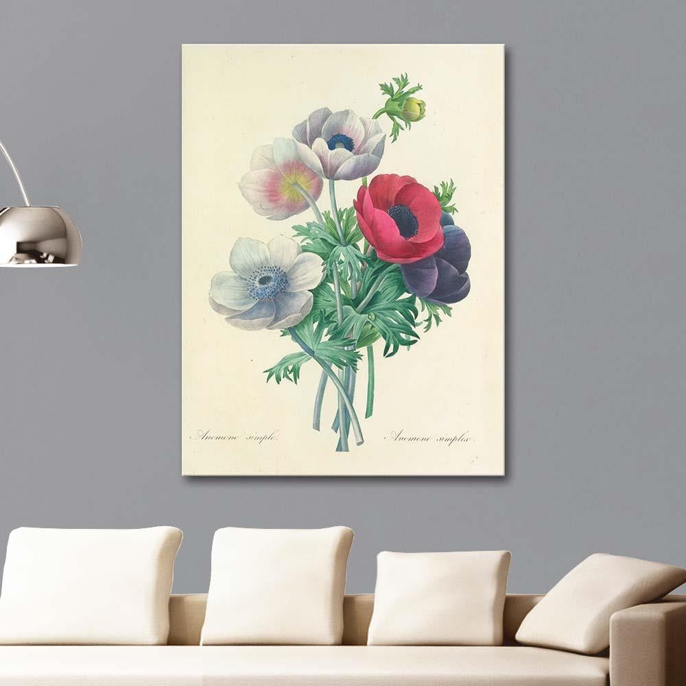 Anemone Simplea by Pierre Joseph Redoute as Art Print