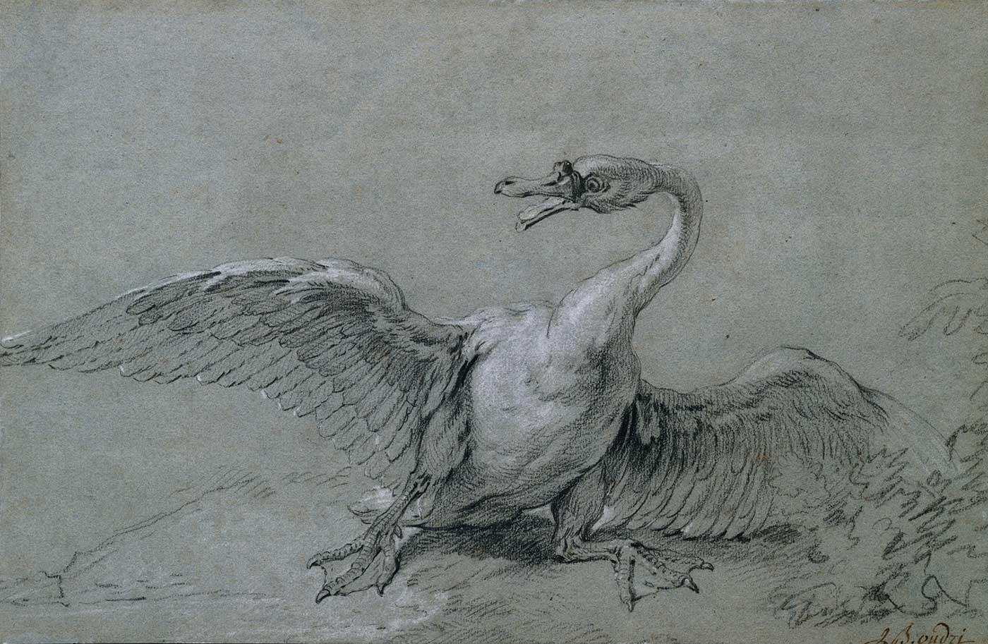Jean-Baptiste Oudry Kızgın Kuğu Kanvas Tablo