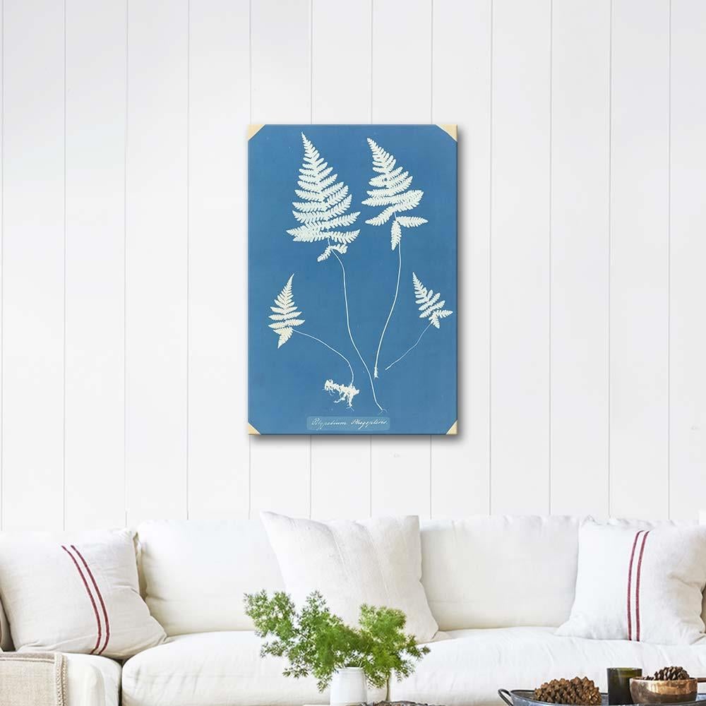 Anna Atkins Polypodium Phegopteris Art Print