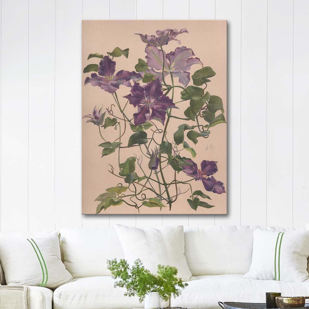 Aquarelle d'une Clématite à Grandes Fleurs by Alice Bailly as Art Print