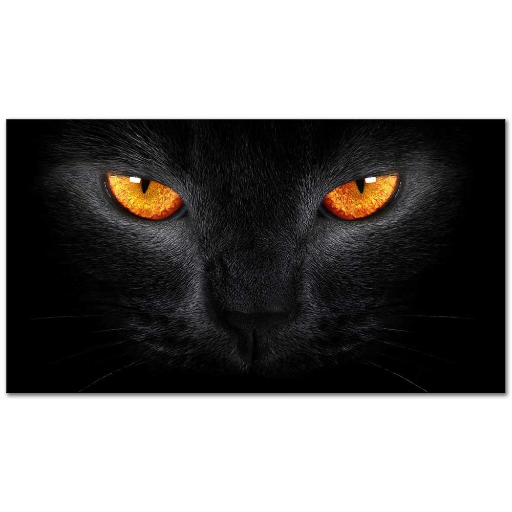 Siyah Kedi Kanvas Tablo
