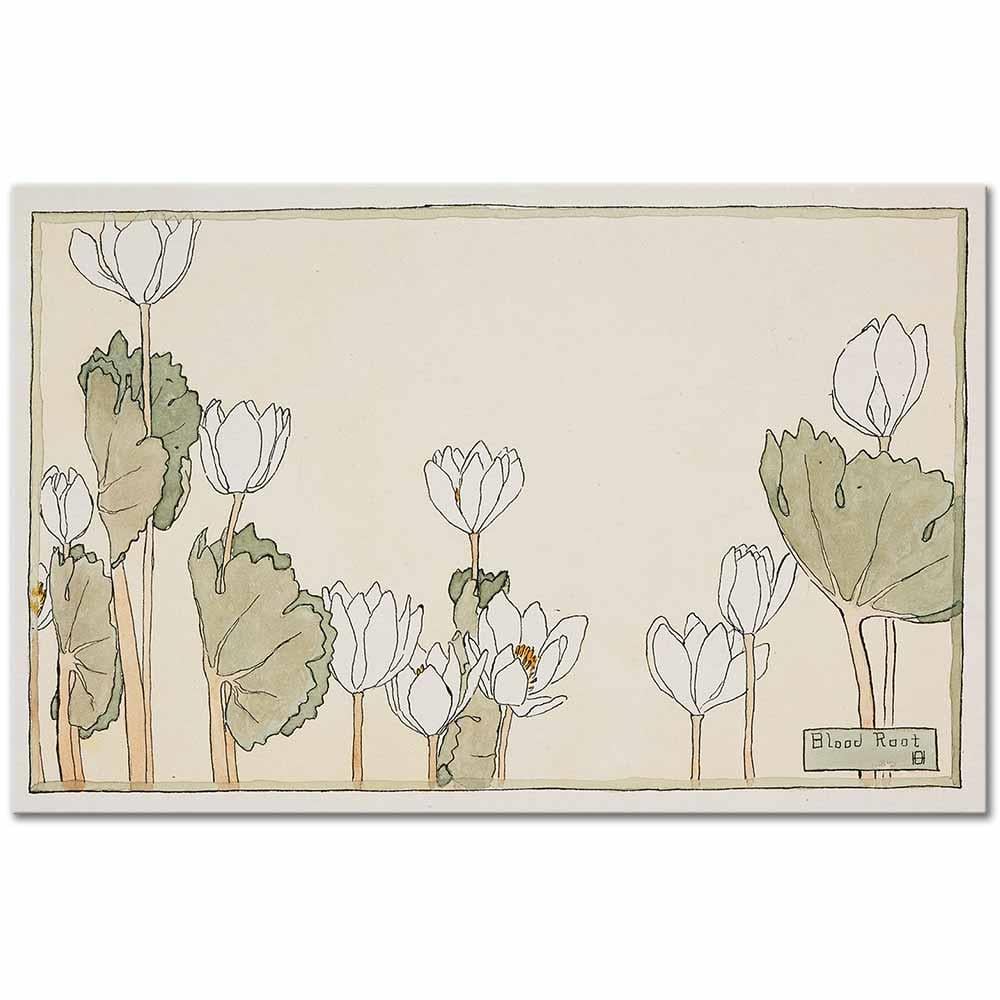 Bloodroot by Hannah Borger Overbeck as Art Print