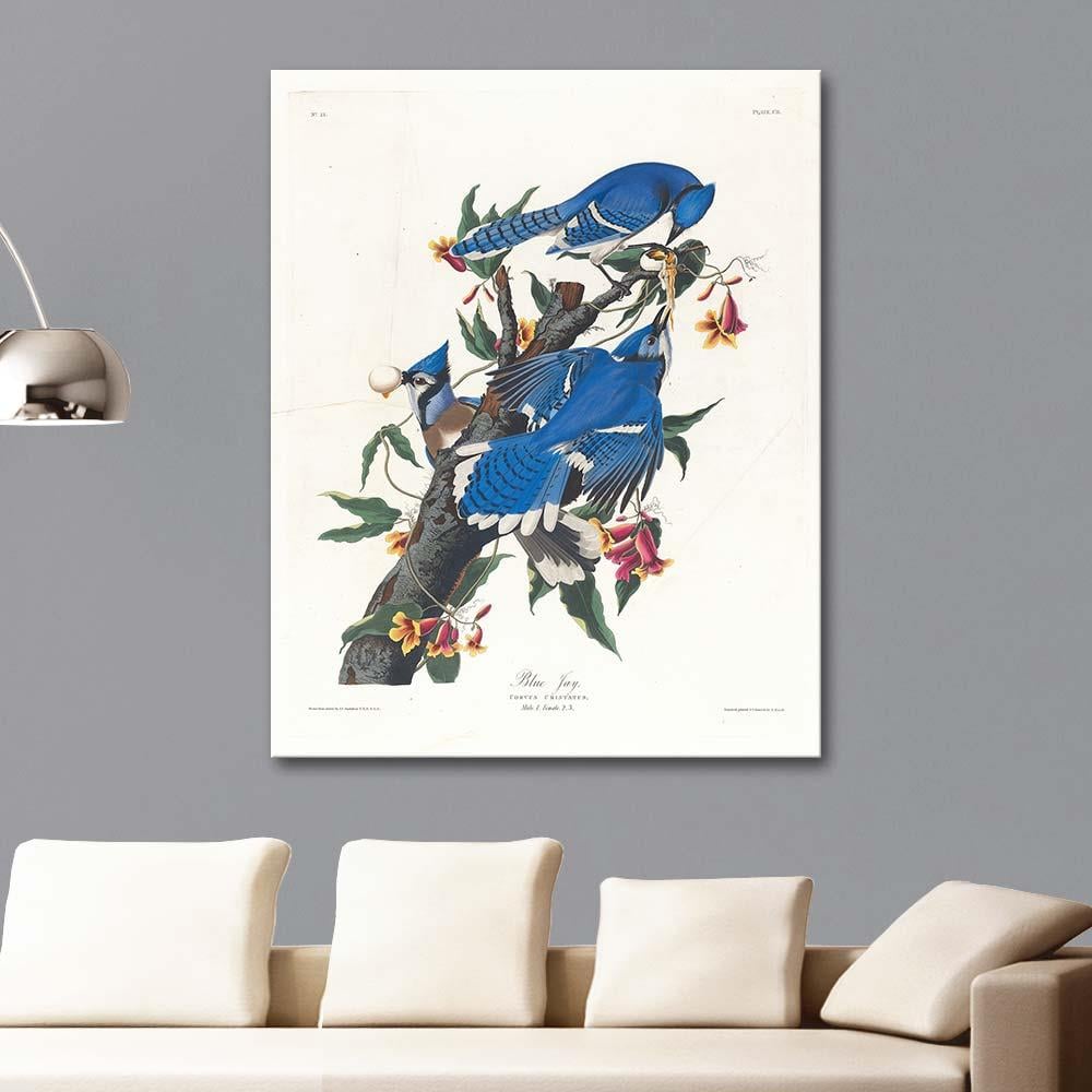 Blue Jay by John James Audubon as Art Print
