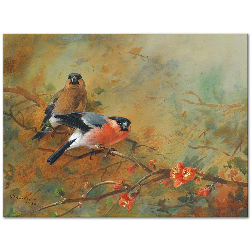 Archibald Thorburn Şakrakkuşu ve Japon Pyrusu Kanvas Tablo