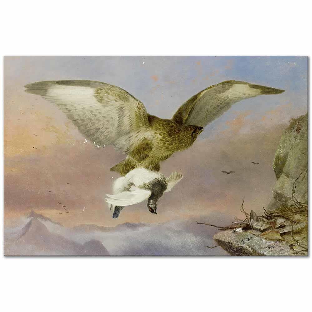 Richard Ansdell Şahin Kar Tavuğunu Götürürken Kanvas Tablo