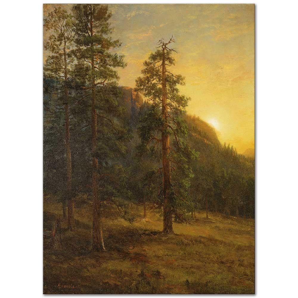 Albert Bierstadt Kaliforniya Sekoyaları Kanvas Tablo