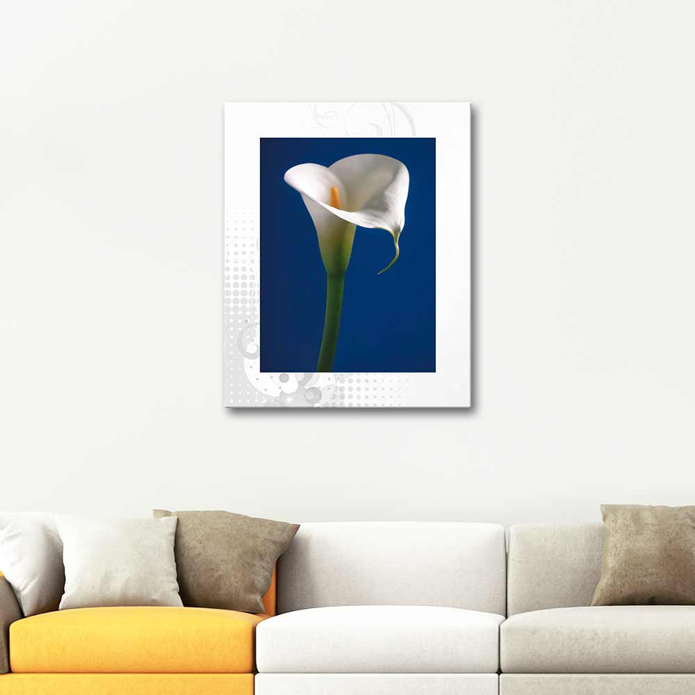 Calla Lily in Dark Blue Art Print