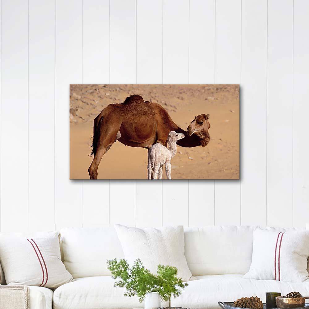 Deve Ve Yavrusu Kanvas Tablo