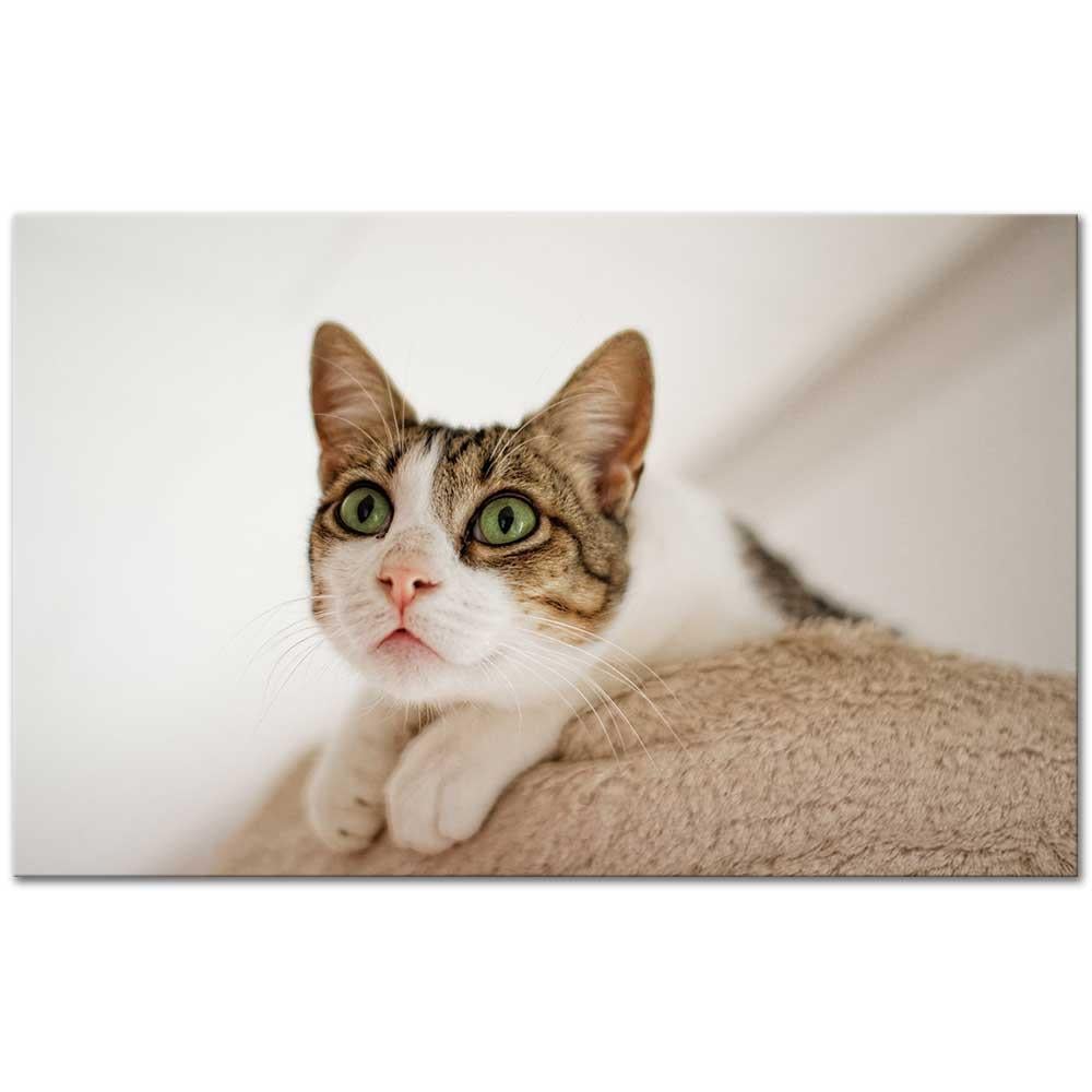 Masum Bakış Kanvas Tablo