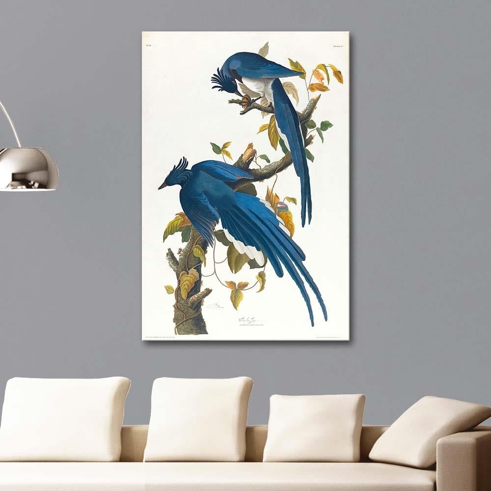 John James Audubon Kolombiya Mavi Saka Kanvas Tablo
