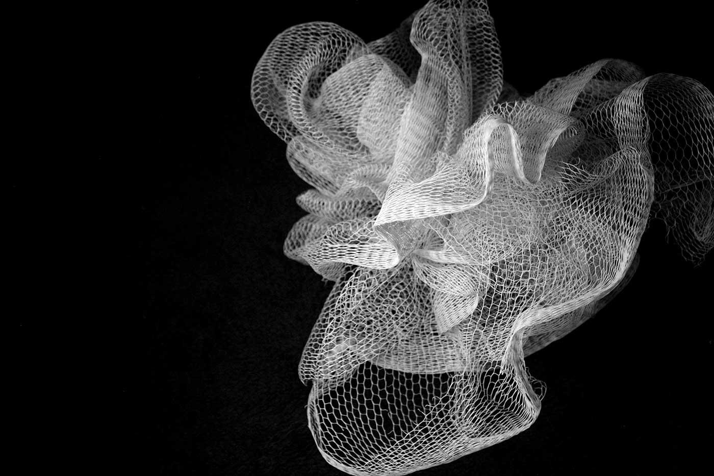 Composition by Imogen Cunnigham as Art Print