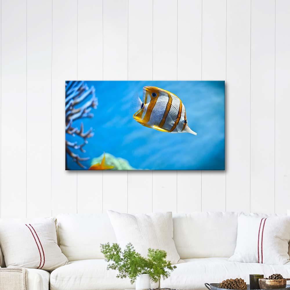 Copperband Butterflyfish as Art Pint