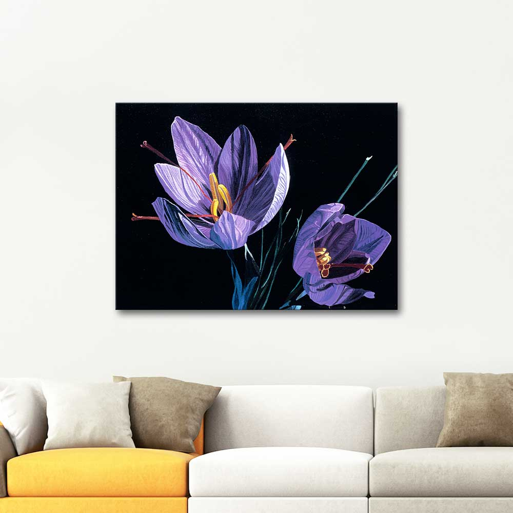 Dagmar Gogdun Saffron Crocus Art Print