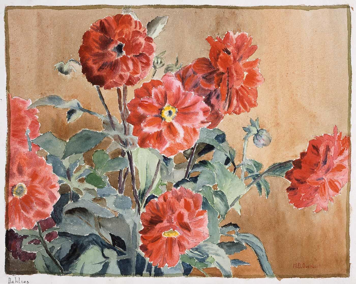 Dahlias by Hannah Borger Overbeck