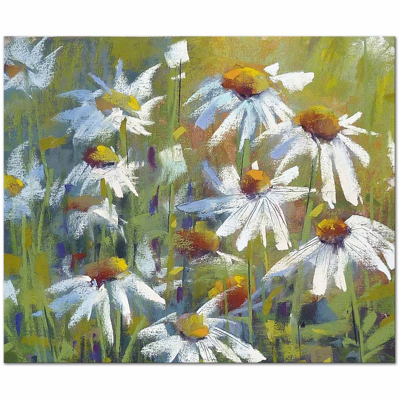 Daisy Field 01 Art Print