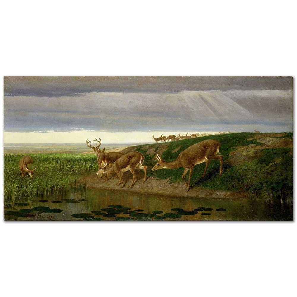 Deer on the Prairie by William Holbrook Beard as Art Print