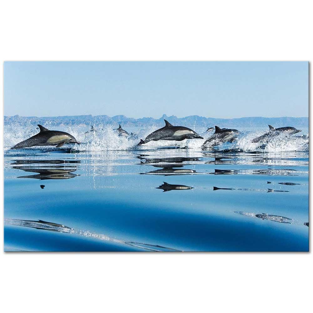 Dolphins as Art Print