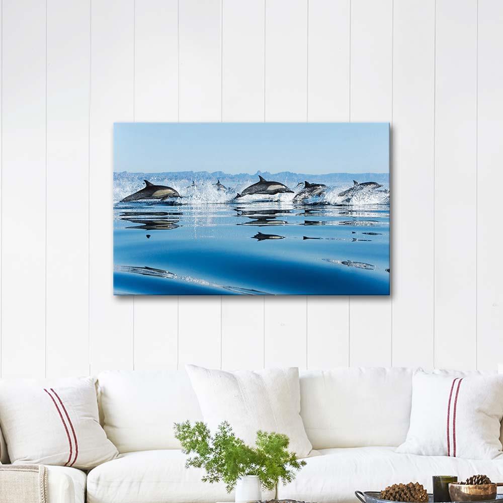Dolphins as Art Print