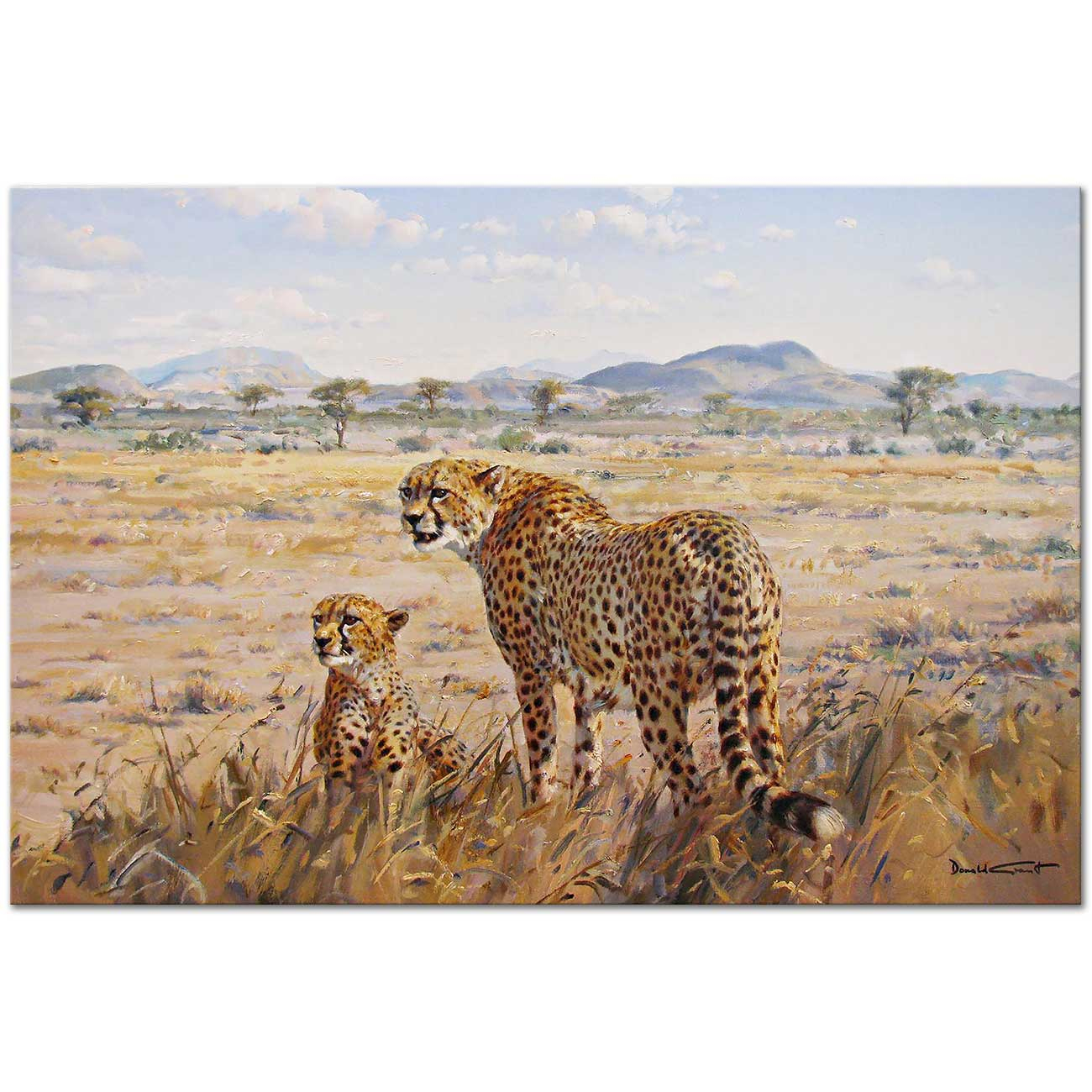 Two Cheetahs by Donald Grant