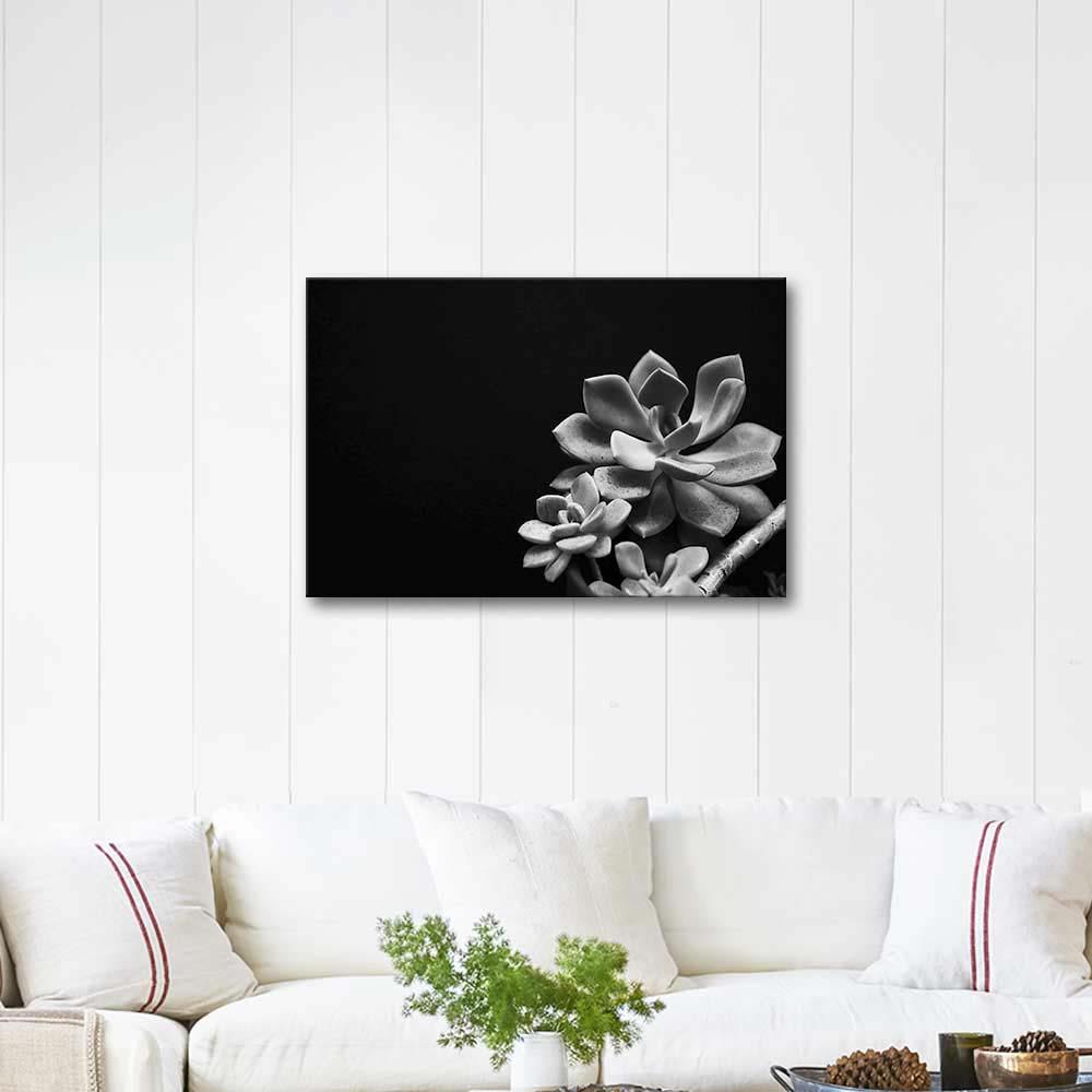 Edward Weston Echeveria in the Dark Art Print