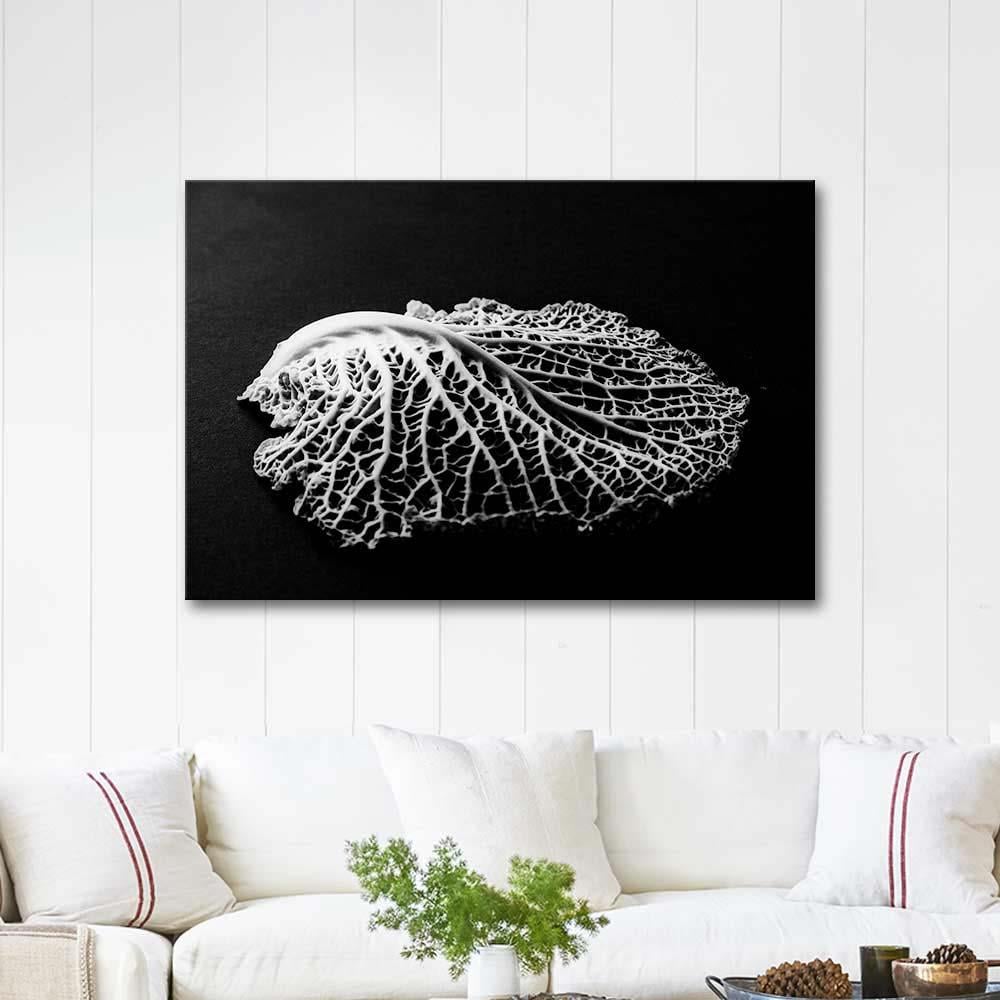 Edward Weston Yaprak Detayı Kanvas Tablo