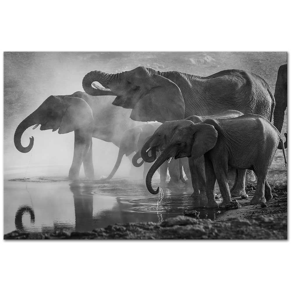 Elephants by the Water as Art Print