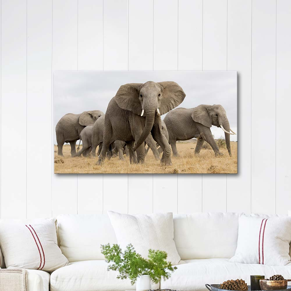 Elephants On African Safari Art Print