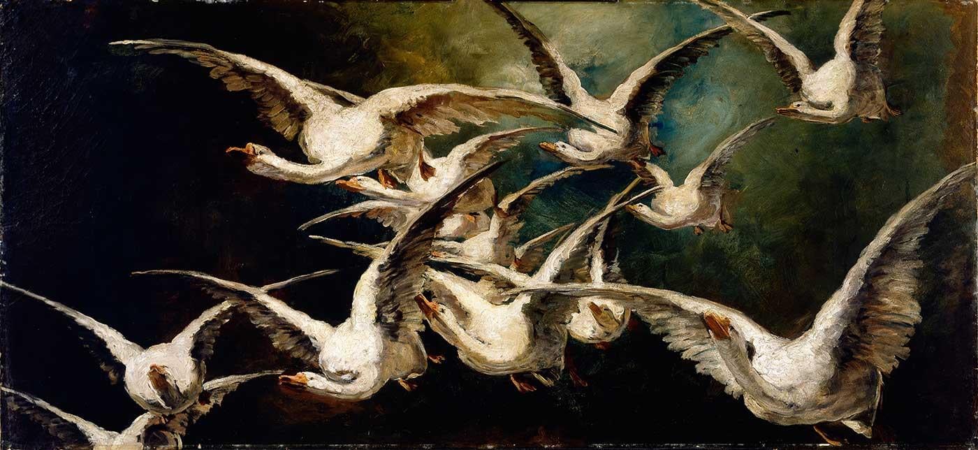Flock of Geese by Elizabeth Nourse as Art Print