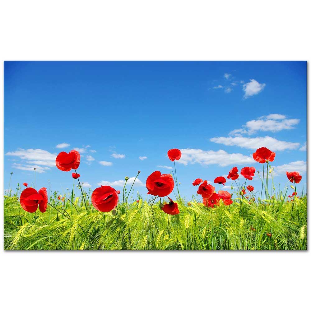 Flower Field With Red Poppies as Art Print
