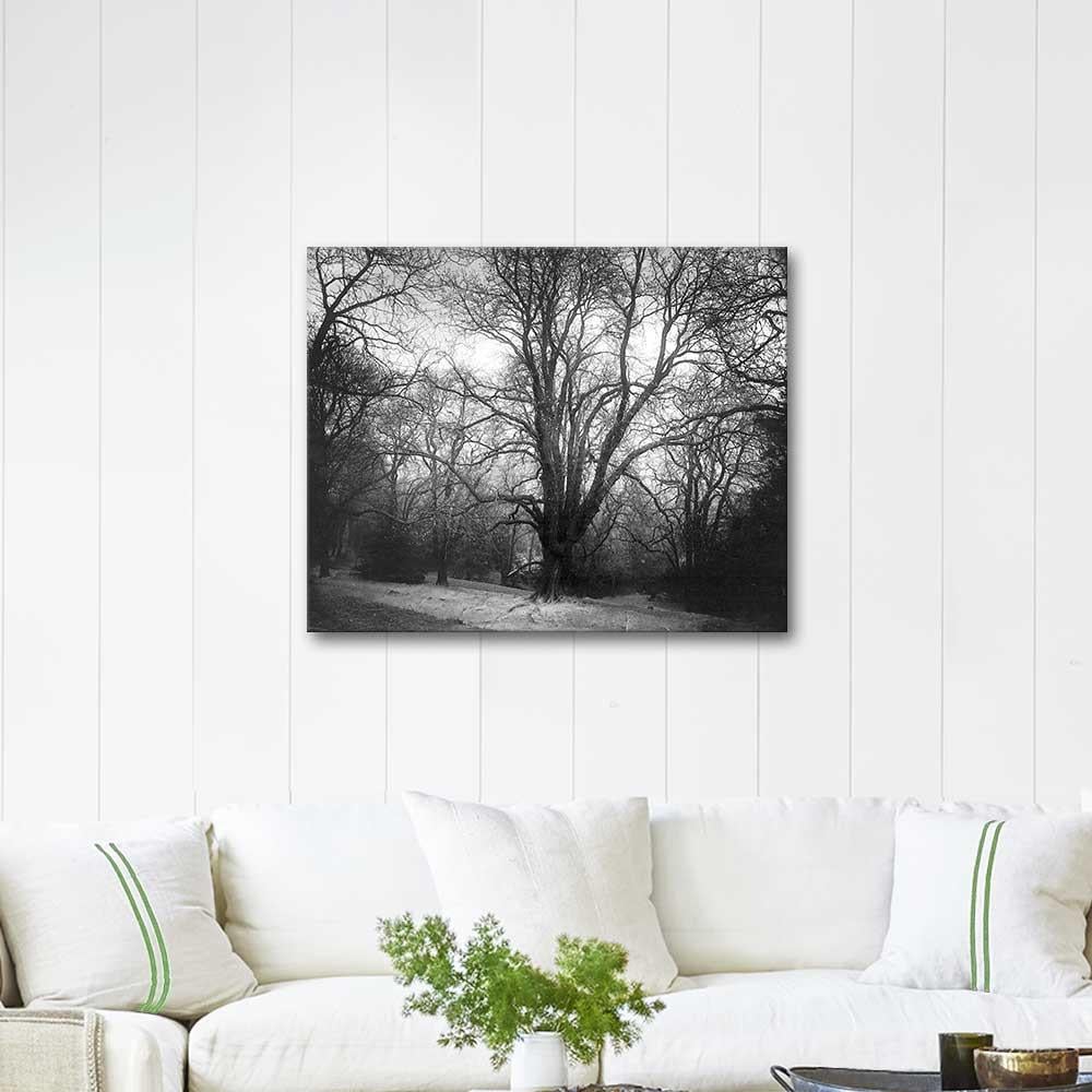 Josef Sudek Orman Kanvas Tablo