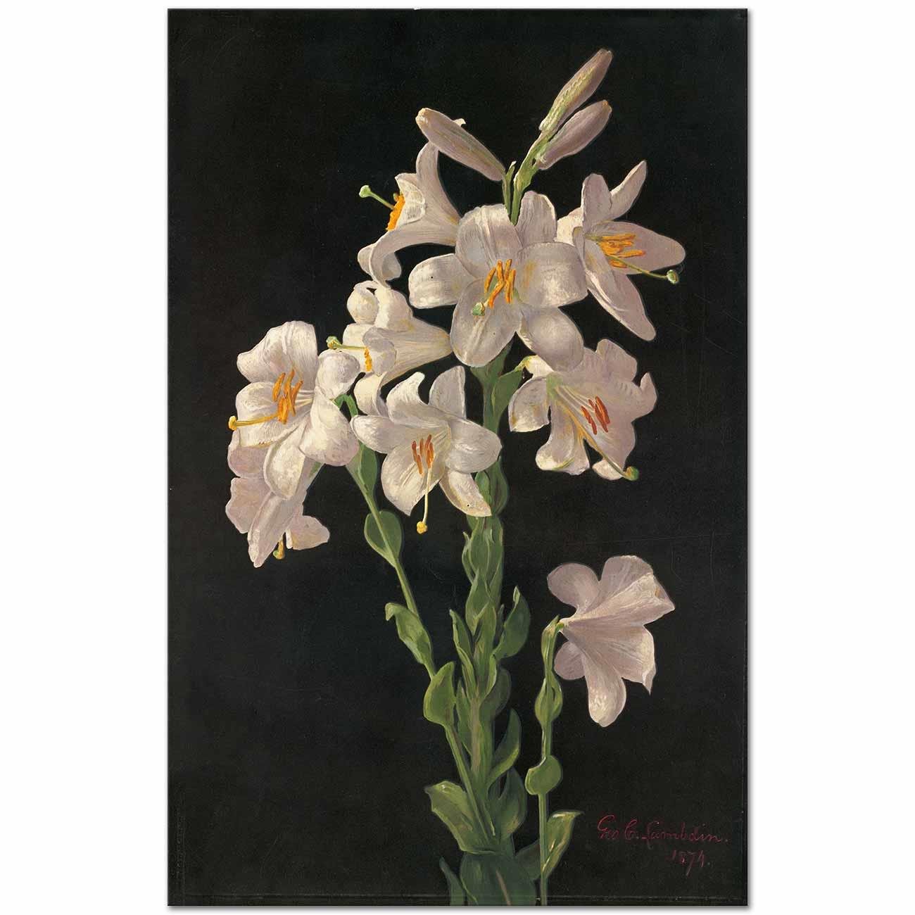 Easter Lily by George Cochran Lambdin