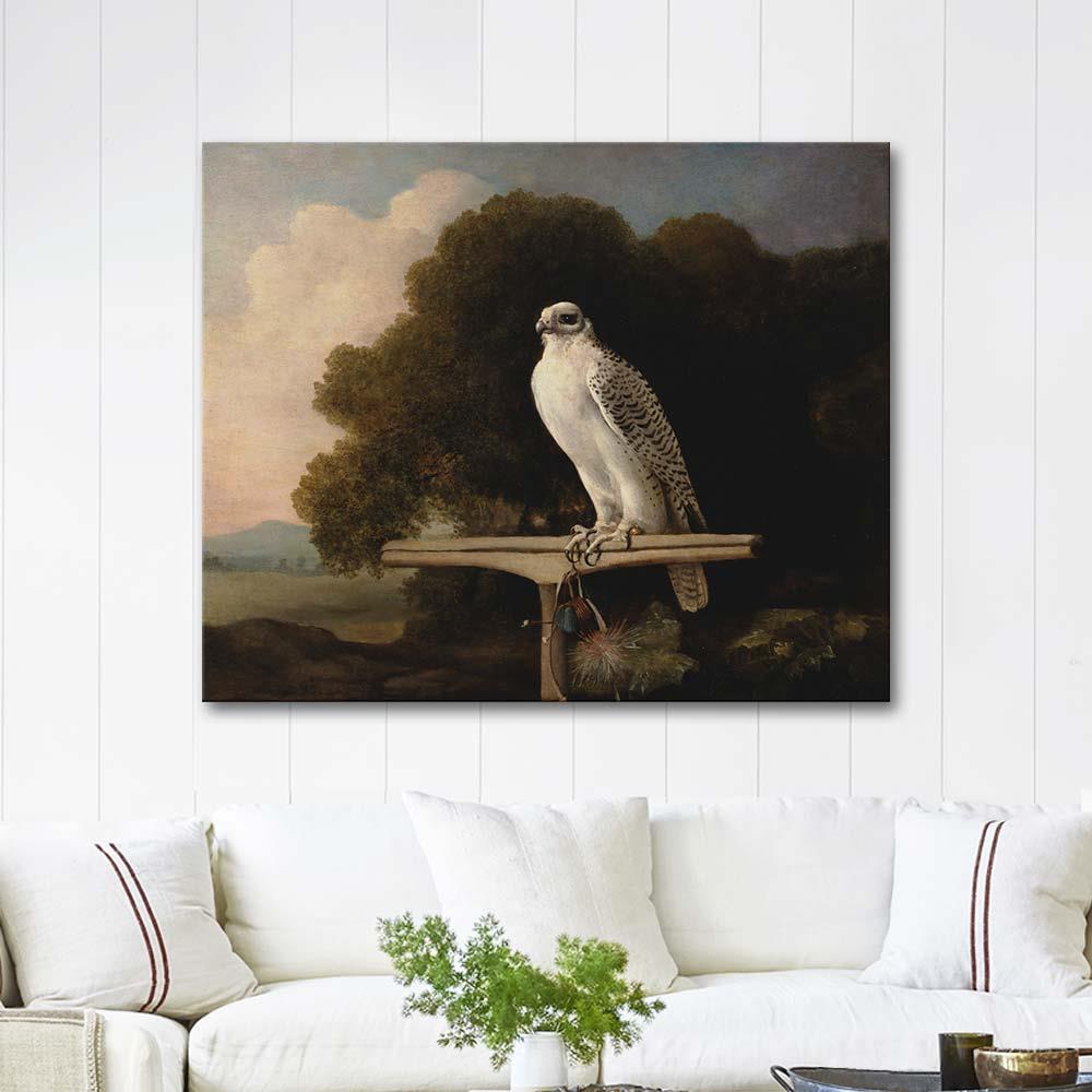 George Stubbs Grönland Şahini Kanvas Tablo