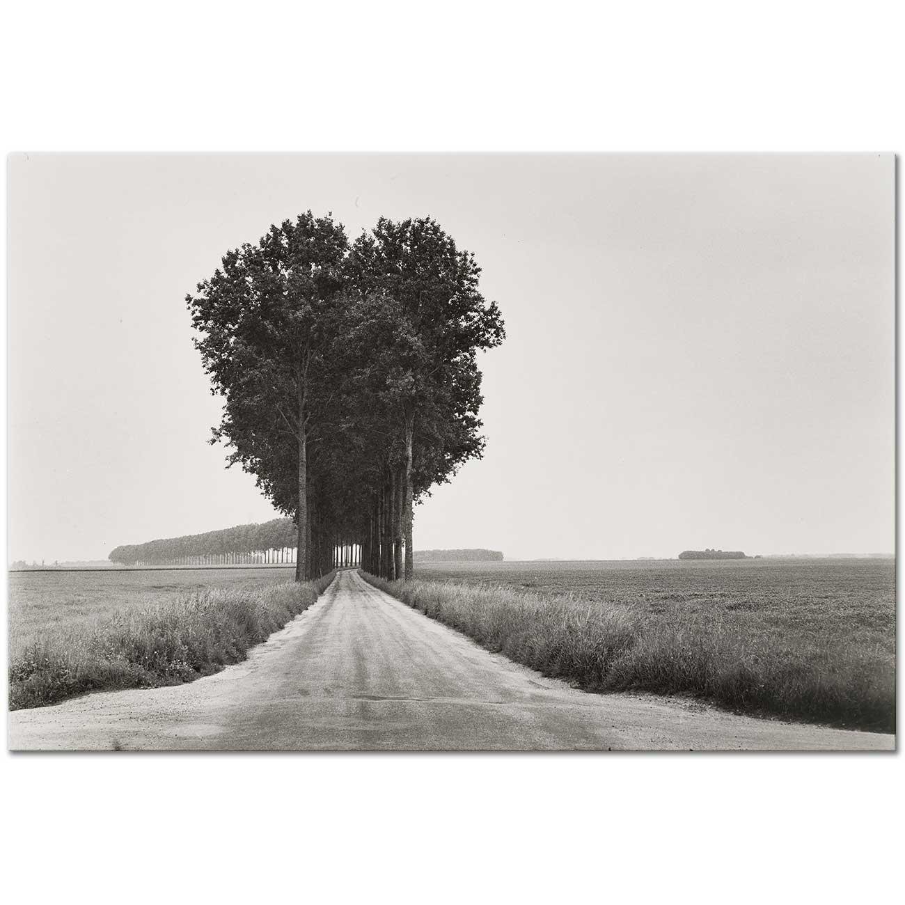 In Brie France by Henri Cartier Bresson